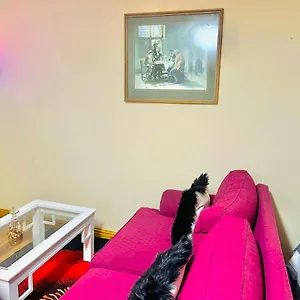 Affordable At Great Choice Guest Houses Guest house Cape Town